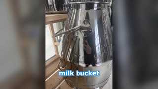 s/s milk bucket with long handle/short handle